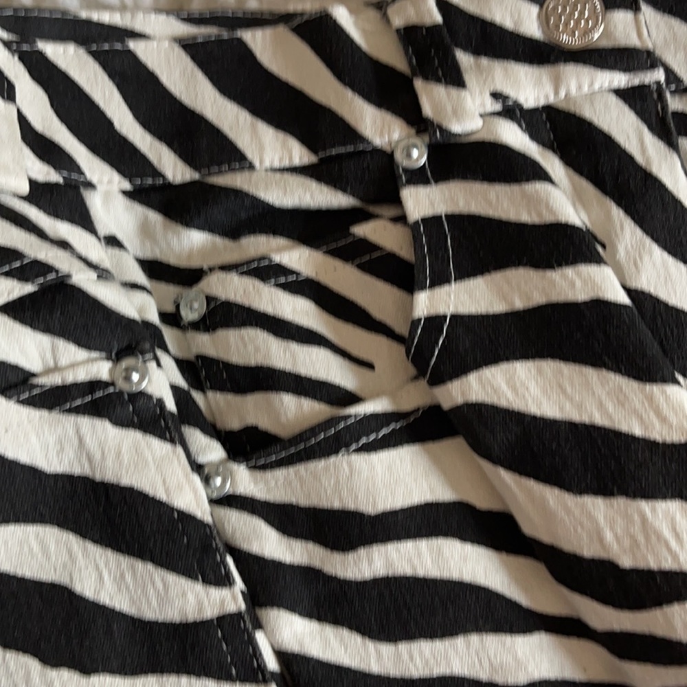 Zebra Striped Pants - Picture 3 of 4